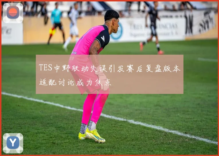 TES中野联动失误引发赛后复盘版本适配讨论成为焦点