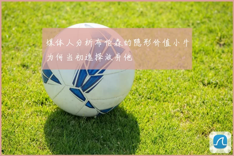 媒体人分析布伦森的隐形价值小牛为何当初选择放弃他