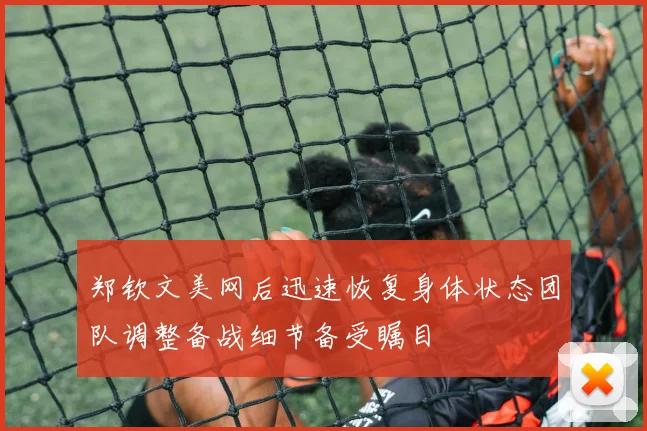 郑钦文美网后迅速恢复身体状态团队调整备战细节备受瞩目